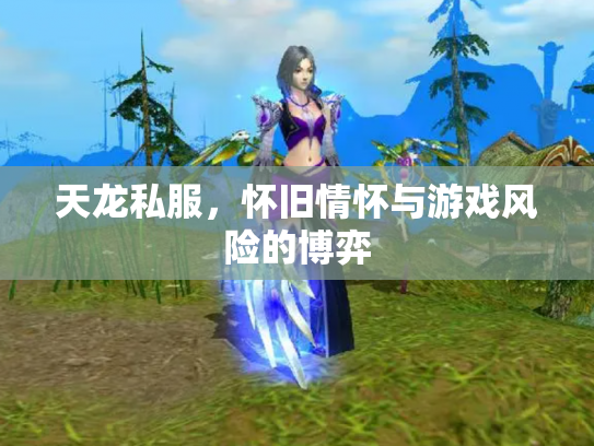 天龙私服，怀旧情怀与游戏风险的博弈