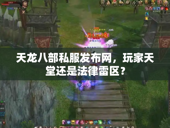 天龙八部私服发布网，玩家天堂还是法律雷区？