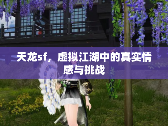 天龙sf，虚拟江湖中的真实情感与挑战