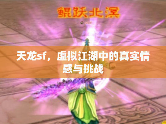 天龙sf，虚拟江湖中的真实情感与挑战