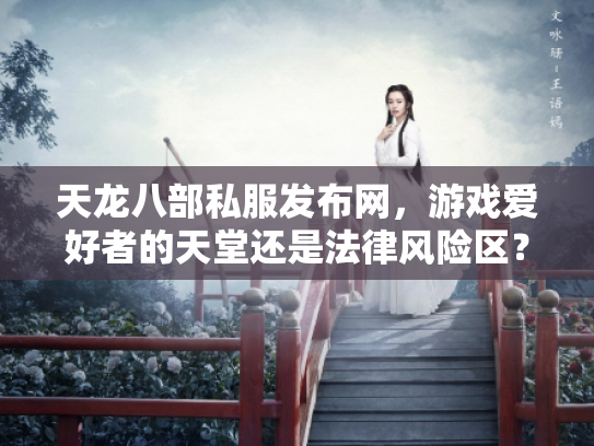 天龙八部私服发布网，游戏爱好者的天堂还是法律风险区？
