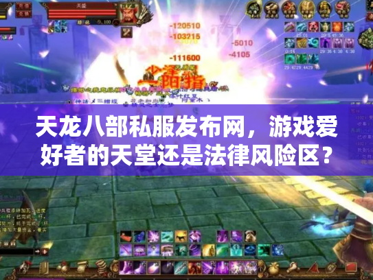 天龙八部私服发布网，游戏爱好者的天堂还是法律风险区？