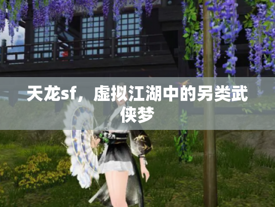 天龙sf，虚拟江湖中的另类武侠梦