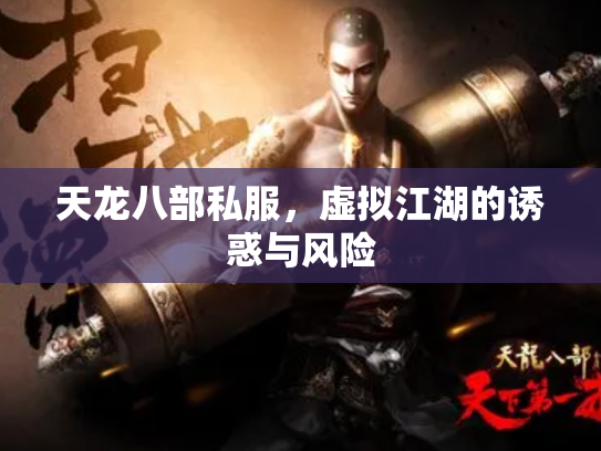 天龙八部私服，虚拟江湖的诱惑与风险