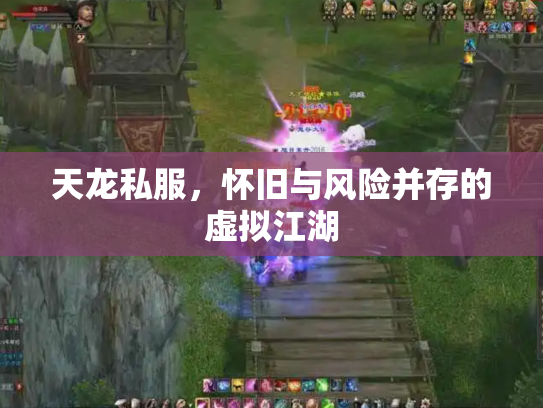 天龙私服，怀旧与风险并存的虚拟江湖