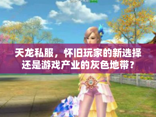 天龙私服，怀旧玩家的新选择还是游戏产业的灰色地带？
