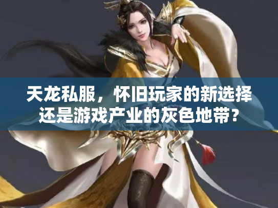 天龙私服，怀旧玩家的新选择还是游戏产业的灰色地带？