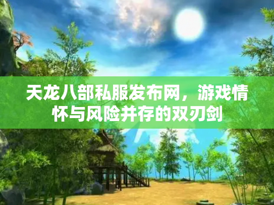 天龙八部私服发布网，游戏情怀与风险并存的双刃剑