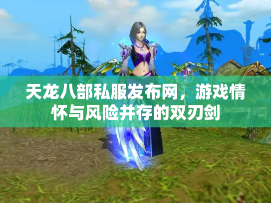 天龙八部私服发布网，游戏情怀与风险并存的双刃剑