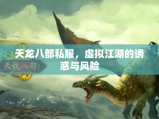 天龙八部私服，虚拟江湖的诱惑与风险