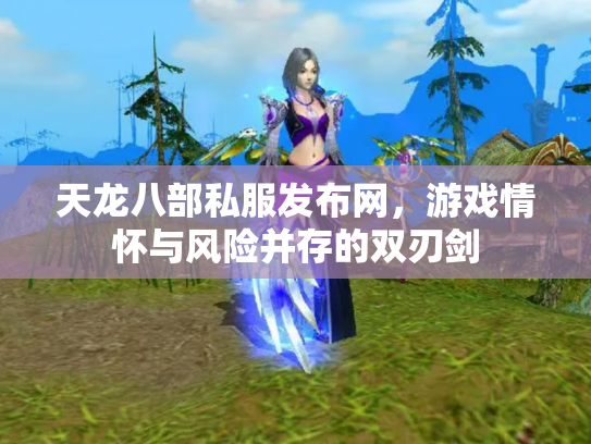 天龙八部私服发布网，游戏情怀与风险并存的双刃剑