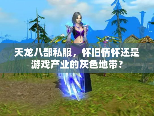 天龙八部私服，怀旧情怀还是游戏产业的灰色地带？