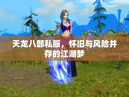 天龙八部私服，怀旧与风险并存的江湖梦