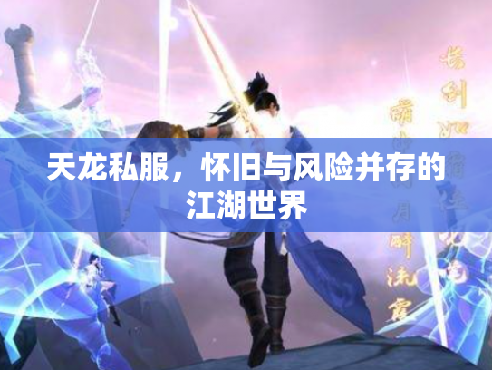 天龙私服，怀旧与风险并存的江湖世界
