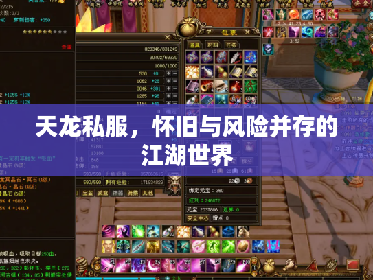 天龙私服，怀旧与风险并存的江湖世界