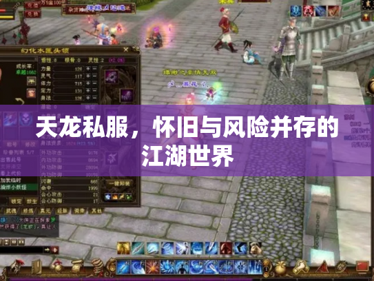 天龙私服，怀旧与风险并存的江湖世界