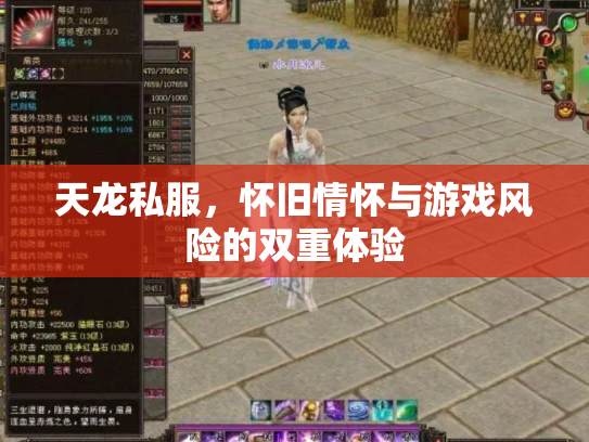 天龙私服，怀旧情怀与游戏风险的双重体验