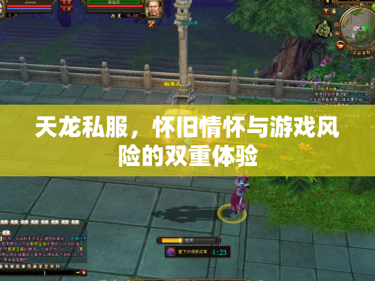 天龙私服，怀旧情怀与游戏风险的双重体验