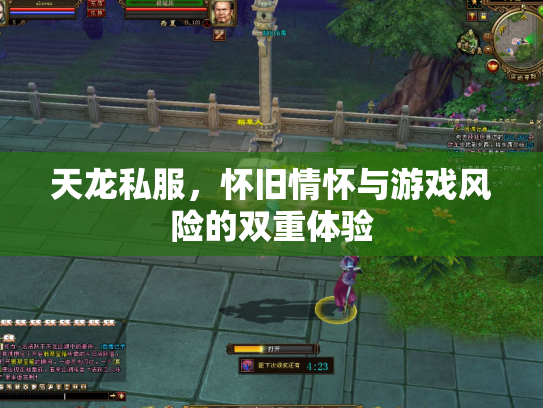 天龙私服，怀旧情怀与游戏风险的双重体验