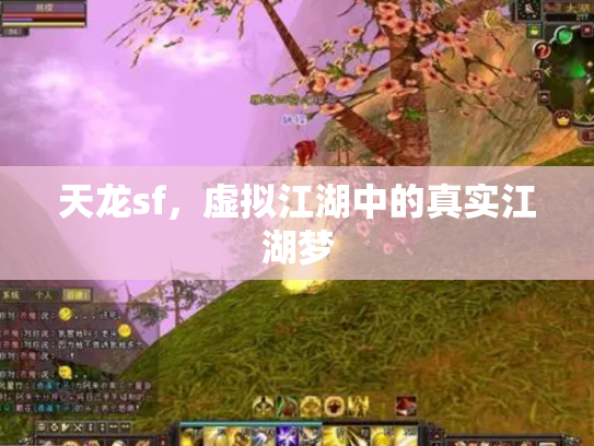 天龙sf，虚拟江湖中的真实江湖梦