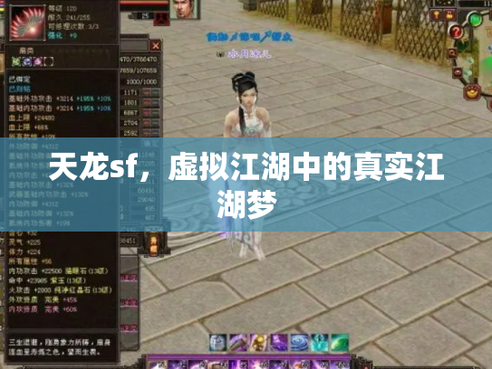 天龙sf，虚拟江湖中的真实江湖梦