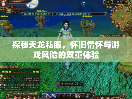 探秘天龙私服，怀旧情怀与游戏风险的双重体验