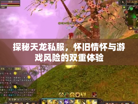 探秘天龙私服，怀旧情怀与游戏风险的双重体验