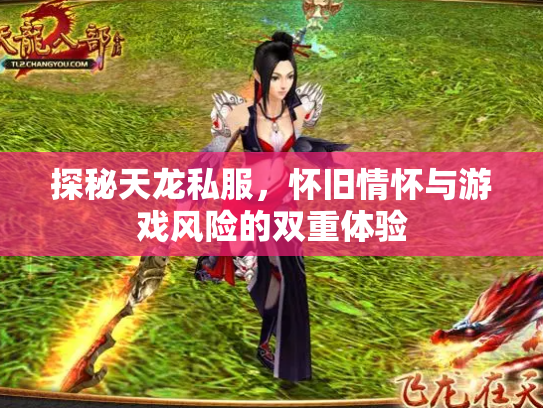 探秘天龙私服，怀旧情怀与游戏风险的双重体验