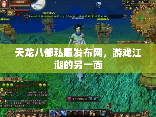 天龙八部私服发布网，游戏江湖的另一面