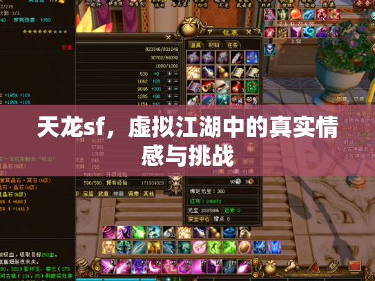 天龙sf，虚拟江湖中的真实情感与挑战