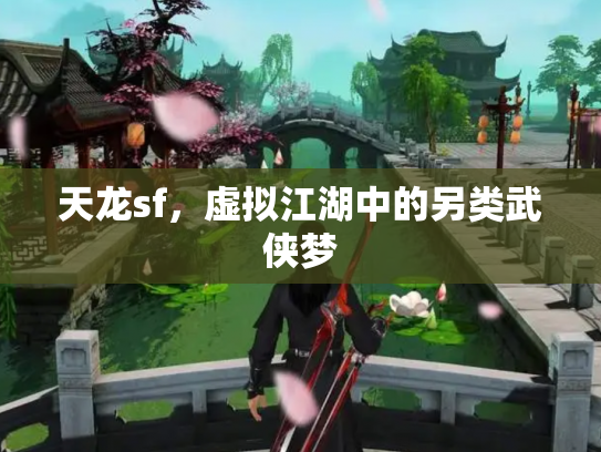 天龙sf，虚拟江湖中的另类武侠梦