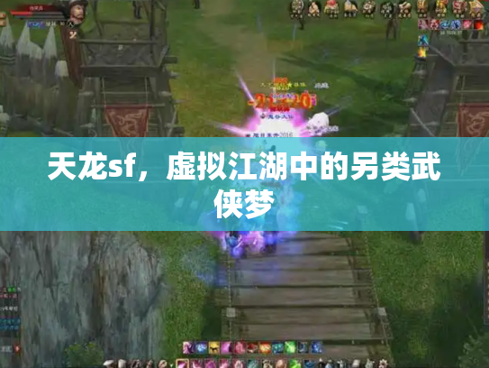 天龙sf，虚拟江湖中的另类武侠梦