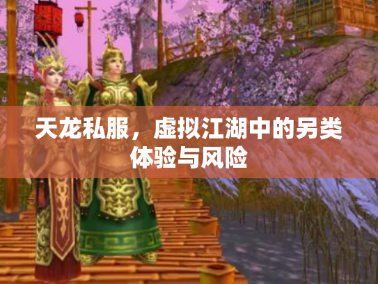 天龙私服，虚拟江湖中的另类体验与风险