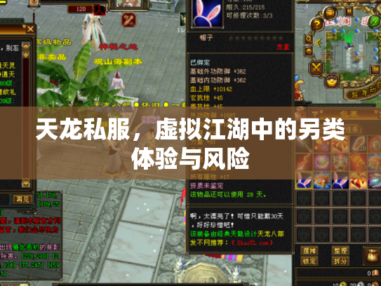 天龙私服，虚拟江湖中的另类体验与风险