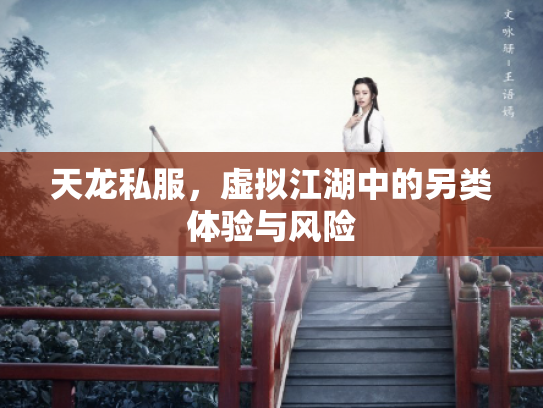 天龙私服，虚拟江湖中的另类体验与风险