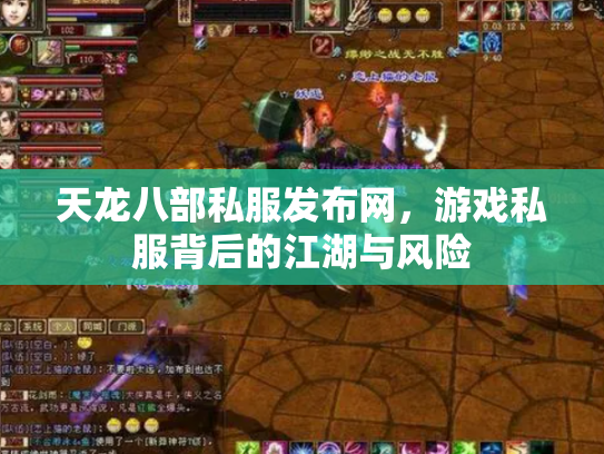 天龙八部私服发布网，游戏私服背后的江湖与风险