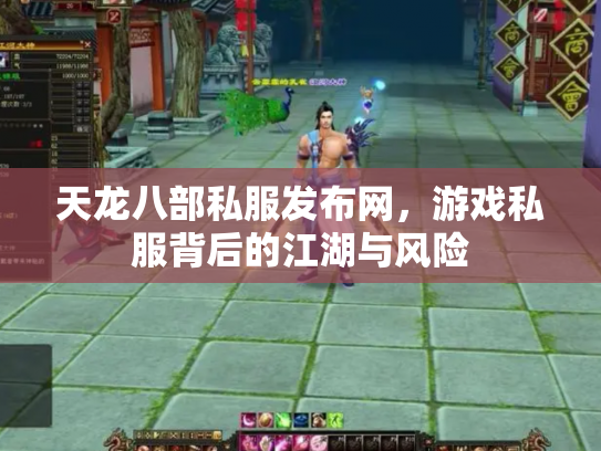 天龙八部私服发布网，游戏私服背后的江湖与风险