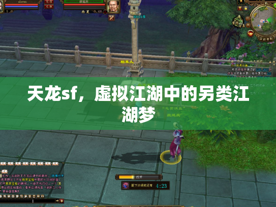 天龙sf，虚拟江湖中的另类江湖梦