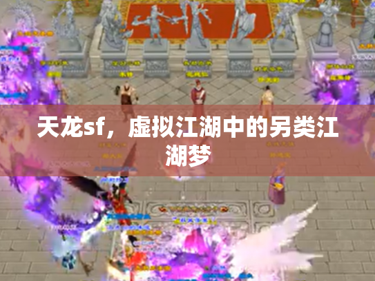 天龙sf，虚拟江湖中的另类江湖梦