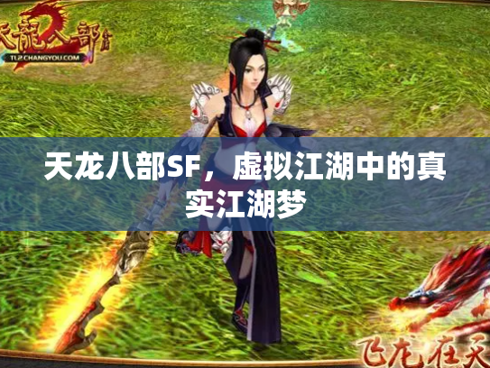 天龙八部SF，虚拟江湖中的真实江湖梦
