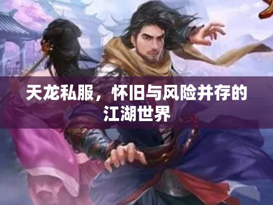 天龙私服，怀旧与风险并存的江湖世界