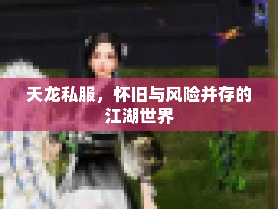 天龙私服，怀旧与风险并存的江湖世界