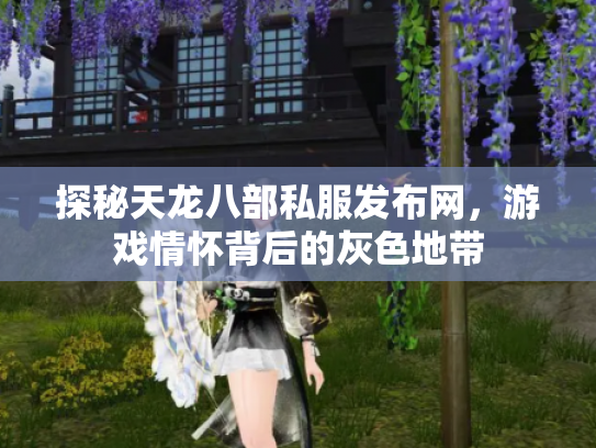 探秘天龙八部私服发布网，游戏情怀背后的灰色地带
