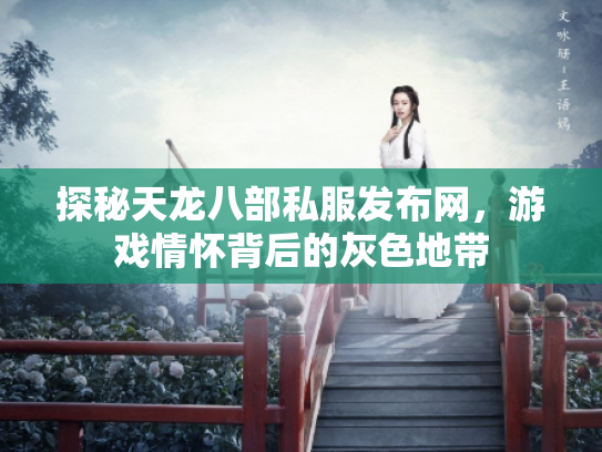 探秘天龙八部私服发布网，游戏情怀背后的灰色地带