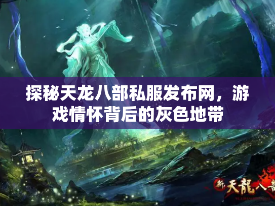 探秘天龙八部私服发布网，游戏情怀背后的灰色地带