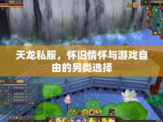 天龙私服，怀旧情怀与游戏自由的另类选择