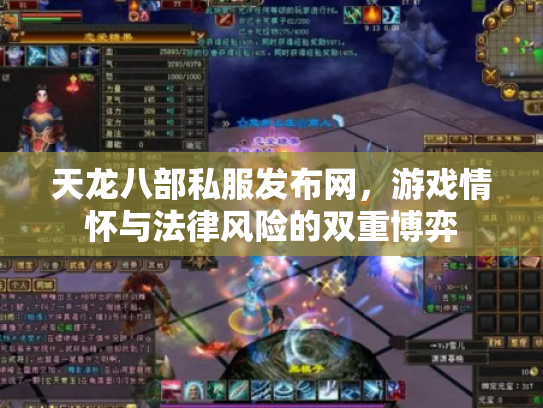 天龙八部私服发布网，游戏情怀与法律风险的双重博弈