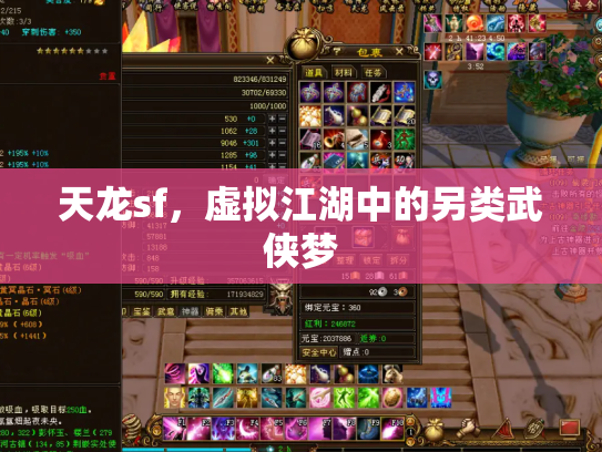 天龙sf，虚拟江湖中的另类武侠梦