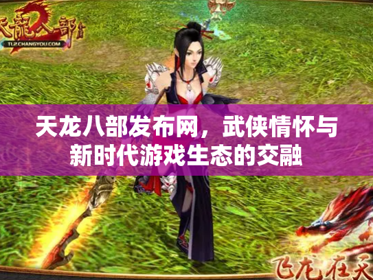 天龙八部发布网，武侠情怀与新时代游戏生态的交融