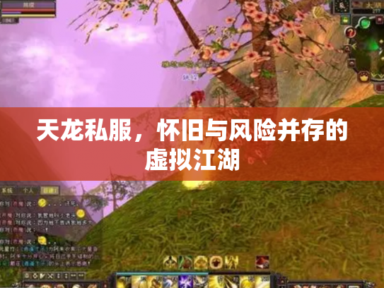 天龙私服，怀旧与风险并存的虚拟江湖